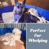 Artilife Whelping Box for Dogs and Puppies,Welp Box Whelping Pool,Whelping