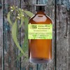 Wild Herb Eucalyptus Pure Essential Oil (16 OZ)