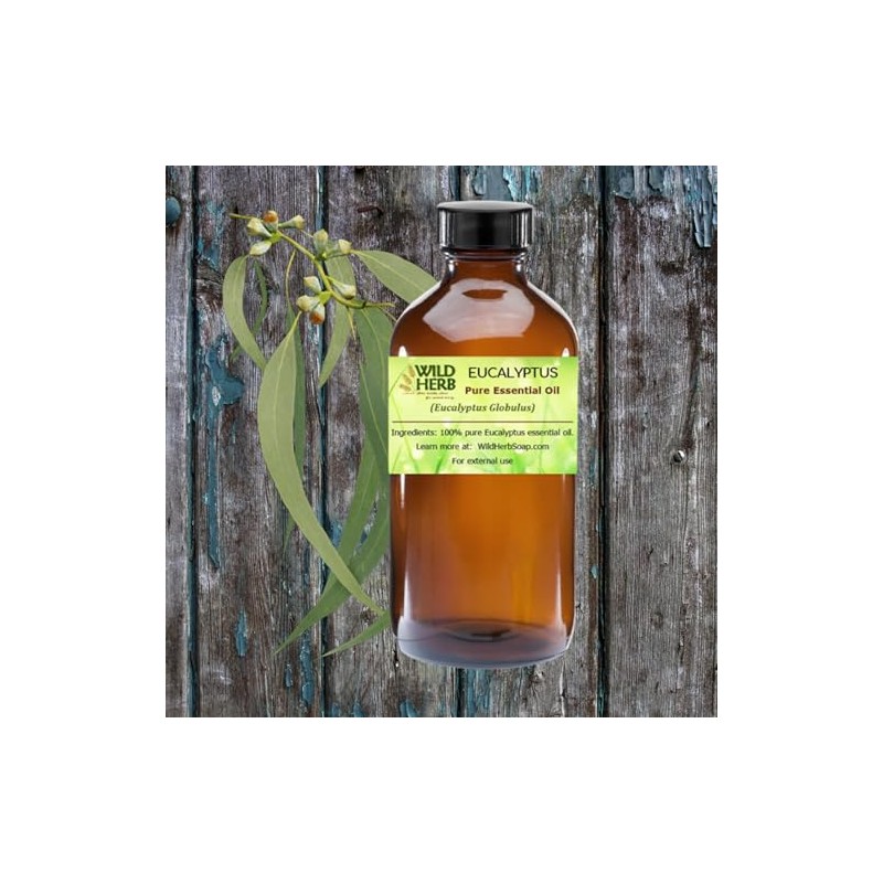 Wild Herb Eucalyptus Pure Essential Oil (16 OZ)