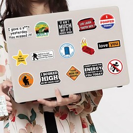 200pcs Prank Me_me Stickers Pack, Funny Snarky Meme Stickers for Laptop Scrapbooking Hard Hat Water Bottles, Vinyl Waterproof Cool Dirty Hilarious Decals for Adults Teens(Prank Meme)