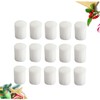 Abaodam 100PCS Hydroponic Sponge Seedling Grow Sponges for Soilless Vegetable