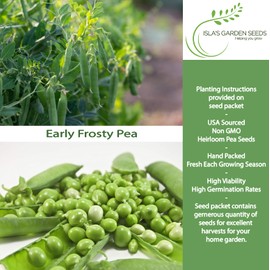 Early Frosty Garden Pea Seeds (Pisum sativum) – 50+ Non-GMO & Heirloom Seeds for Planting, Cold-Hardy Variety for Early Spring Harvests, by Isla’s Garden Seeds, High 90% Germination, Gift Idea