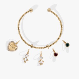 Alex and Ani Little Loves Charm Bundle Interchangeable Twisted Cuff Base​