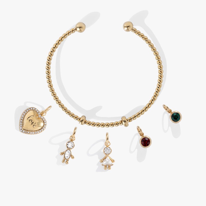 Alex and Ani Little Loves Charm Bundle Interchangeable Twisted Cuff