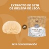BULK SUPERFOODS - Extracto de Melena de Len Orgnico en