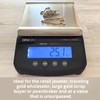 GemOro Platinum PRO1601 | Durable Precise Jewelers Countertop Portable Scale