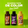 Qprro Wey Tinte Shampoo Express Cabello Cubre Canas 500ml