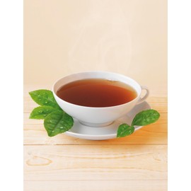 Lebensbaum Earl Grey Classic, Black Tea with Real Bergamot and Lemon Oil, Harmonious, Aromatic, 100% Organic, Loose, 100 g