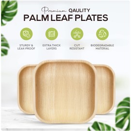 Palm Leaf Plates 4 Inch Bamboo Plates Disposable 100 Pack Small Dessert and Appetizer Square Party Plates Biodegradable Compostable Cocktail Plates Better Than Paper Plates By KoalaLove