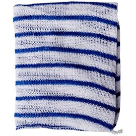 ROBERT SCOTT HDBU1610P Hygiene Cloth, 16 x 12, Blue and White (Pack of 10)