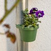 UPP Downpipe Flower Pots Practical and Easy Upgrade of All