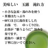 Tamaro "Tamaro no Uta" 2025 New Tea Yabukita Green Tea