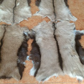 Real Antelope Goat Hide Fur Skin Pelt Fur Sheepskin Leather Fur Skin Clothing Accessories Light Brown 1pcs(Approx 15"X18")