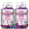 CocoaNee 2 Packs 3000MG Glucosamine Chondroitin Gummies, Extra Strength Joint