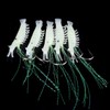 FOLANDO 5pcs Artificial Shrimp Bait, Luminous Swimbait Shrimp Artificial Shrimp