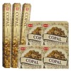 Copal Incense Sticks and Cone Incense Holder Variety Pack Bundle