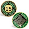 15 Year NA Sobriety Coin, Green NA Medallions Sobriety Chips
