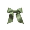 Double Faced Satin Ribbon - Parsley