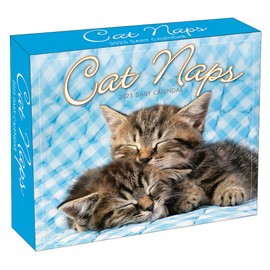 Cat Naps 2025 Boxed Daily Desk Calendar