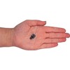 (Pack of 200) Shelf Support Pegs 0.19" (5 mm), Plastic