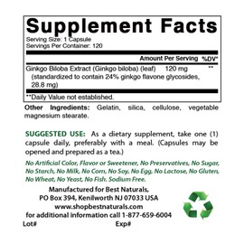 Best Naturals, Ginkgo Biloba Extract - Double Strength Ginkgo Biloba, 120mg, 120 Capsules (120 Count (Pack of 3))