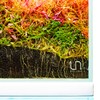 Ultum Nature Systems Ultum Nature Systems Controbase C Nutrient-Rich Aquarium