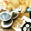 Pet Grass Variety Pack by Cat FurNature