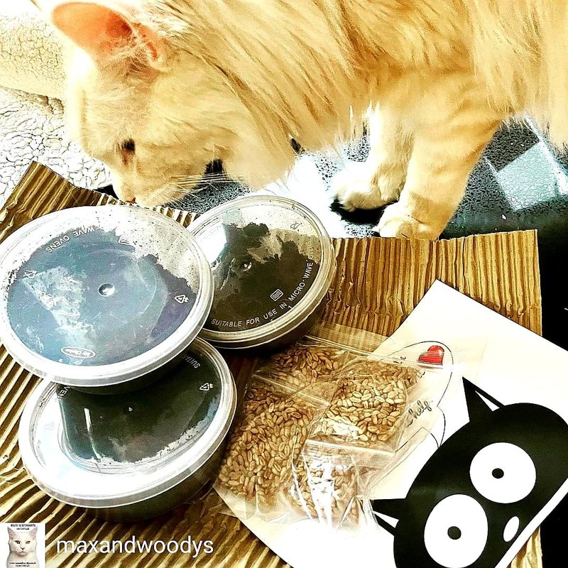 Pet Grass Variety Pack by Cat FurNature