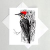 Pileated Woodpecker Note Card, Bird