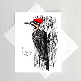 Pileated Woodpecker Note Card, Bird