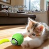 Interactive Cat Ball Toy, Electric Cat Ball Toy, 2025 Upgrade