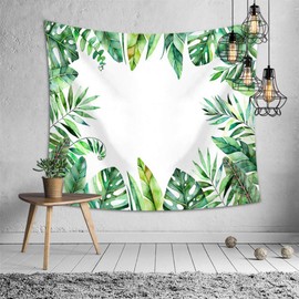 Solaiz Eight Haku HABANA: Polarized BR, HABANA: Polarized BR