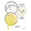 El Sérum De Vitamina C Ilumina El Cutis