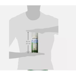 Rust-Oleum 257465 Frosted Glass Spray Finish Sea Glass 11 oz. Semi-Transpare