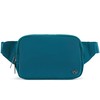 Everywhere Belt Bag Large 2L, Pander Waterproof Everywhere Fanny Pack