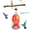Hummingbirds Water Feeder Colorful Painting Glass Bird Feeding Tool for