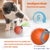 Eiruseed Upgraded Speedy Interactive Cat Ball 4.0 Toys with 2