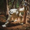 Dungeons & Dragons Honor Among Thieves Golden Archive Owlbear/Doric Collectible