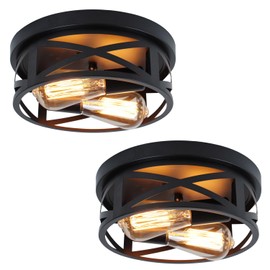 2-Light Flush Mount Ceiling Light Fixtures (10.6in) 2-Pack Industrial Black Metal Cage Light Fixtures with Adjustable Head Ceiling Light For Farmhouse Hallway Bedroom Kitchen Entryway Storage Room