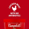 Campbell's Homestyle Chicken Noodle Soup Microwavable Bowl, 15.4 Ounce (Pack