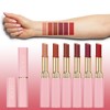 Beauty Searcher lipstick, it is a large, shiny lipstick, the