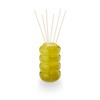 Illume Under The Sun Summer Grass Aromatic Sun Diffuser