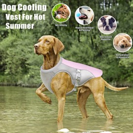 Dolahovy Dog Cooling Vest Harness,Breathable Mesh Dog Cool Jacket Adjustable Summer Dog Coat Reflective Safety Ice Clothes for Large Medium Small Dogs Walking Outdoor