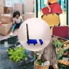 Total Supplier Carrito Plegable De Carga Equipaje Multifuncional Portátil