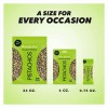 Wonderful Pistachios No Shells, Roasted & Salted Nuts, 12 Ounce