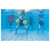 Beco AquaDisc SZ Aqua Training Discs Aqua Dumbbells Pair Green