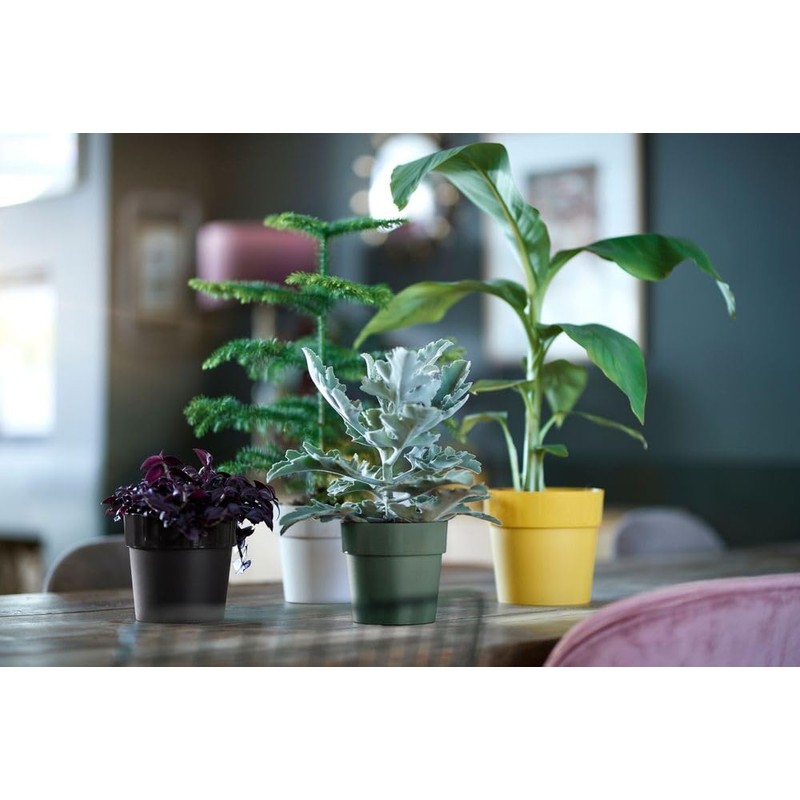 elho B.for Original Round 14 - Flower Pot for Indoor