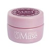 PREANFA PGU-M324 Color Gel Cassis Berry 324 0.1 oz (3
