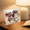 DESONAUT 6 Pack 6x4 Inchs Clear Acrylic Self Standing Photo