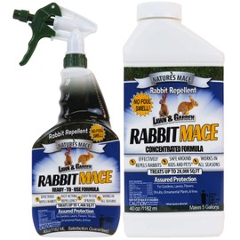 Nature’s MACE 40oz Rabbit Repellent Spray & Concentrate, Covers 29,400 Sq Ft, Rabbit Deterrent for Garden, Rabbit Repellent Outdoor, Rabbit Repellent for Garden, Safe for Dogs, Pets, People, & Plants